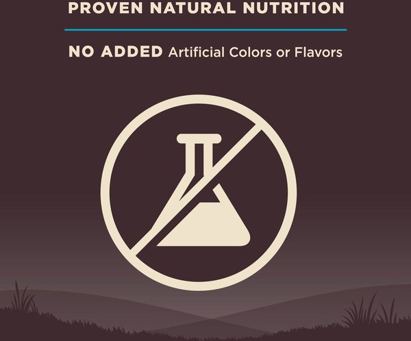 Show full view: Wellness CORE Wholesome Grains Ocean Recipe High Protein Dry Dog Food, 10-kg bag slide 6 of 10