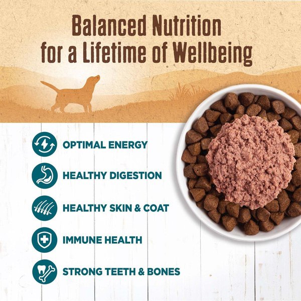 Show full view: Wellness 95% Whitefish Natural Grain-Free Wet Dog Food Topper, 374-g can, case of 12 slide 4 of 7