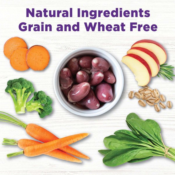 Show full view: Wellness CORE Bowl Boosters Joint Health Adult Dry Dog Food Topper, 113-g bag slide 5 of 9