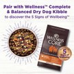 Show in main carousel: Wellness CORE Bowl Boosters Heart Health Dry Dog Food Topper, 113-g bag slide 6 of 9