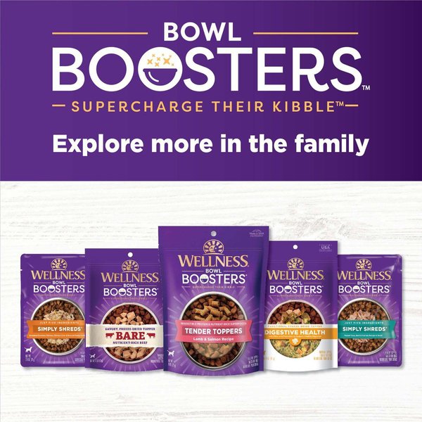 Show full view: Wellness CORE Bowl Boosters Digestive Health Dry Dog Food Topper, 113-g bag slide 7 of 9