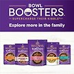 Show in main carousel: Wellness CORE Bowl Boosters Digestive Health Dry Dog Food Topper, 113-g bag slide 7 of 9