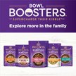 Show in main carousel: Wellness CORE Bowl Boosters Skin & Coat Dry Dog Food Topper, 113-g bag slide 7 of 9