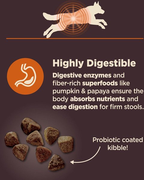 Show full view: Wellness CORE Digestive Health Wholesome Grains Chicken & Brown Rice Recipe Dry Dog Food, 10.9-kg bag slide 4 of 10