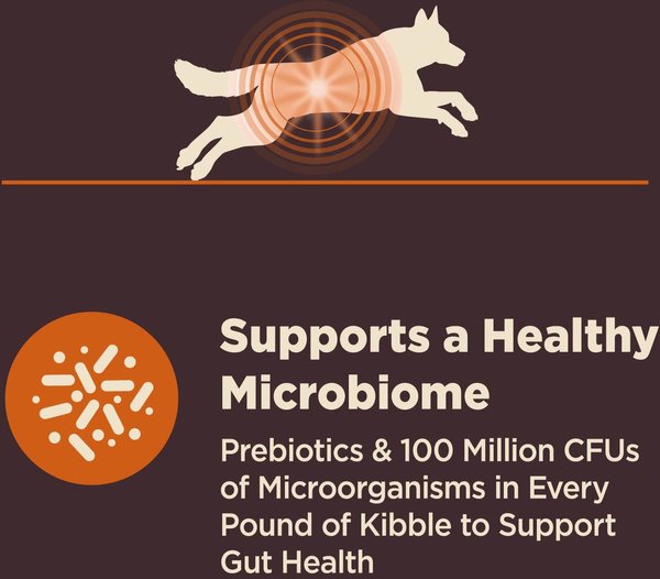 Show full view: Wellness CORE Digestive Health Wholesome Grains Chicken & Brown Rice Recipe Dry Dog Food, 10.9-kg bag slide 5 of 10