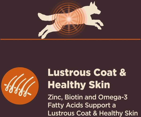 Show full view: Wellness CORE Digestive Health Wholesome Grains Chicken & Brown Rice Recipe Dry Dog Food, 10.9-kg bag slide 6 of 10