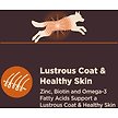Show in main carousel: Wellness CORE Digestive Health Wholesome Grains Chicken & Brown Rice Recipe Dry Dog Food, 10.9-kg bag slide 6 of 10