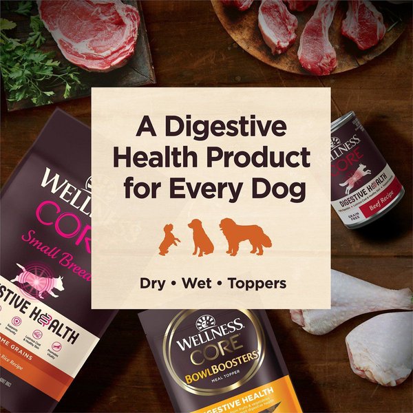 Show full view: Wellness CORE Digestive Health Chicken Recipe Grain-Free Wet Dog Food, 369-g can, case of 12 slide 7 of 8