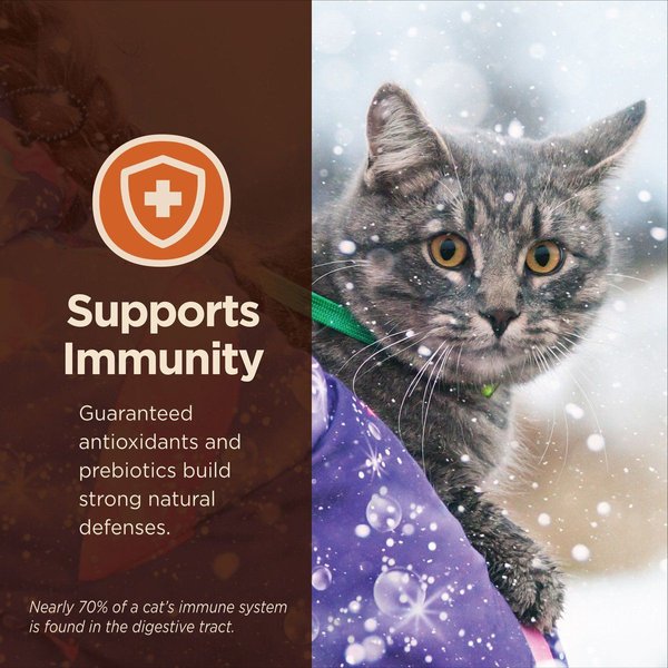 Show full view: Wellness CORE Digestive Health Wholesome Grains Chicken & Rice Recipe Dry Cat Food, 5-kg bag slide 9 of 16