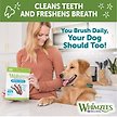 Show in main carousel: WHIMZEES by Wellness Variety Box Dental Chews Natural Grain-Free Dental Dog Treats, Small, 89 count slide 7 of 10
