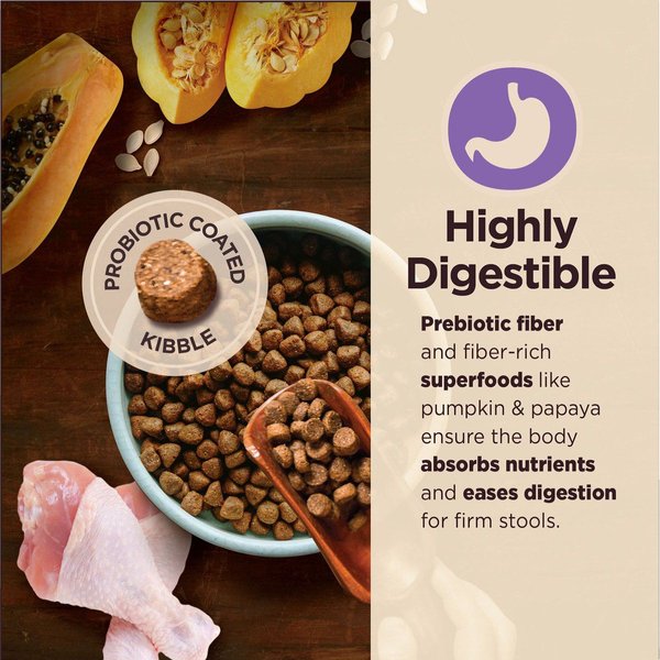 Show full view: Wellness CORE Digestive Health Age Advantage Senior Chicken & Brown Rice Dry Dog Food, 10.89-kg bag slide 4 of 10