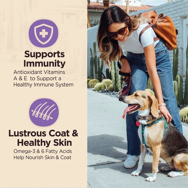 Show full view: Wellness CORE Digestive Health Age Advantage Senior Chicken & Brown Rice Dry Dog Food, 10.89-kg bag slide 5 of 10