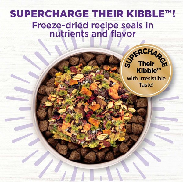 Show full view: Wellness Bowl Boosters Plant Based Immunity Health Dog Food Topper, 113-g bag slide 3 of 9