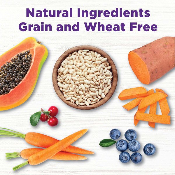 Show full view: Wellness Bowl Boosters Plant Based Immunity Health Dog Food Topper, 113-g bag slide 5 of 9