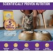 Show in main carousel: Wellness Complete Health Age Advantage Chicken Pate Wet Cat Food, 85-g can, case of 24 slide 5 of 10
