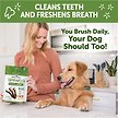 Show in main carousel: WHIMZEES by Wellness Brushzees Dental Chews Natural Grain-Free Dental Dog Treats, Large, 6 count slide 5 of 10