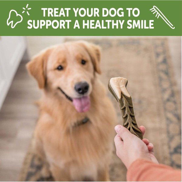 Show full view: WHIMZEES by Wellness Brushzees Dental Chews Natural Grain-Free Dental Dog Treats, Large, 6 count slide 6 of 10