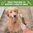 Show in main carousel: WHIMZEES by Wellness Brushzees Dental Chews Natural Grain-Free Dental Dog Treats, Large, 6 count slide 6 of 10