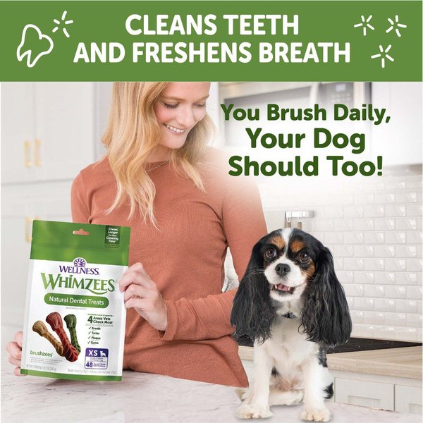 Show full view: WHIMZEES by Wellness Brushzees Dental Chews Natural Grain-Free Dental Dog Treats, Extra Small, 48 count slide 5 of 10