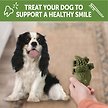 Show in main carousel: WHIMZEES by Wellness Alligator Dental Chews Natural Grain-Free Dental Dog Treats, Small, 24 count slide 6 of 10