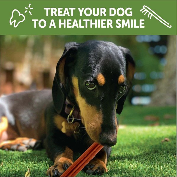 Show full view: WHIMZEES by Wellness Stix Dental Chews Natural Grain-Free Dental Dog Treats, Small, 28 count slide 7 of 10