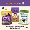 Show in main carousel: Old Mother Hubbard by Wellness Classic Just Vegg'N Natural Mini Oven-Baked Biscuits Dog Treats, 567-g bag slide 8 of 10