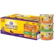 Show in main carousel: Wellness Complete Health Chicken & Turkey Lovers Gravies & Minced Variety Pack Grain-Free Wet Cat Food, 85-g can, case of 12 slide 1 of 10