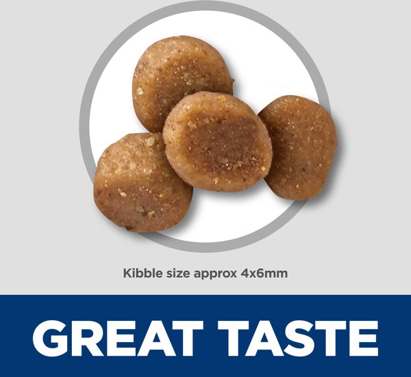 Show full view: Hill's Science Diet Kitten Sensitive Stomach & Sensitive Skin Salmon & Brown Rice Recipe Dry Cat Food, 2.72-kg bag slide 6 of 10