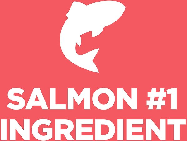 Show full view: Hill's Science Diet Kitten Sensitive Stomach & Sensitive Skin Salmon & Vegetable Stew Canned Cat Food, 2.8-oz can, case of 24 slide 5 of 10