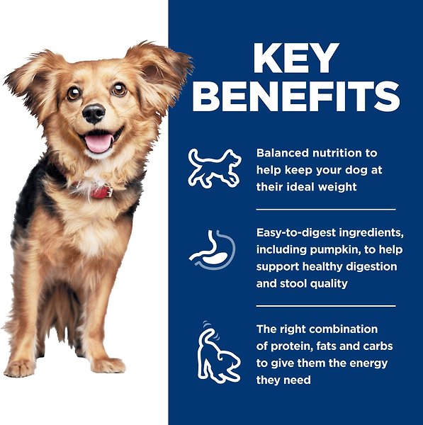 Show full view: Hill's Science Diet Adult Perfect Digestion Small & Mini Chicken & Vegetables Entree Canned Dog Food, 5.8-oz can, case of 24 slide 4 of 10