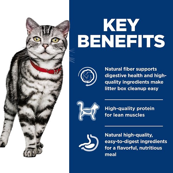 Show full view: Hill's Science Diet Adult Indoor Salmon & Vegetable Medley Canned Cat Food, 5.5-oz can, case of 24 slide 4 of 10