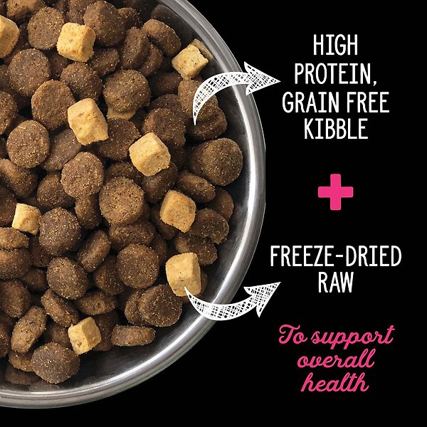 Show full view: Nutrience SubZero Limited Ingredient Diet Lamb & Pumpkin Recipe Dry Dog Food, 10-kg bag slide 3 of 9