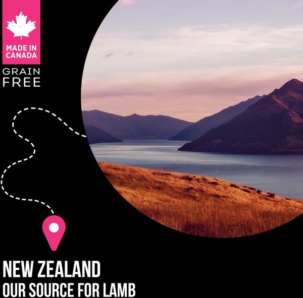 Show full view: Nutrience SubZero Limited Ingredient Diet Lamb & Pumpkin Recipe Dry Dog Food, 10-kg bag slide 8 of 9