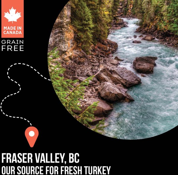 Show full view: Nutrience SubZero Limited Ingredient Turkey & Pumpkin Recipe Dry Cat Food, 1.8-kg bag slide 6 of 9