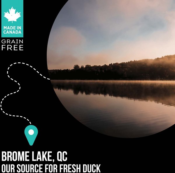 Show full view: Nutrience SubZero Limited Ingredient Duck & Pear Recipe Dry Cat Food, 1.8-kg bag slide 6 of 9