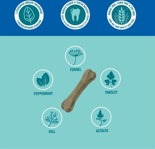 Show full view: N-Bone Bone-A-Mints Mint Flavored Large Dental Dog Treats, 4 count slide 3 of 5