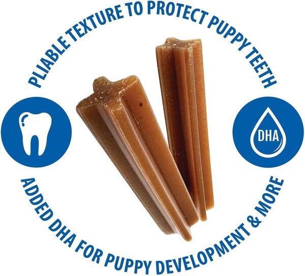 Show full view: N-Bone Jumbo Puppy Teething Sticks Pumpkin Flavor Dog Treats, 7 count slide 6 of 8