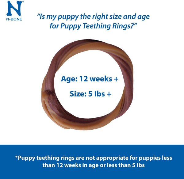 Show full view: N-Bone Puppy Teething Ring Chicken Flavor Dog Treats, 6 count slide 3 of 8