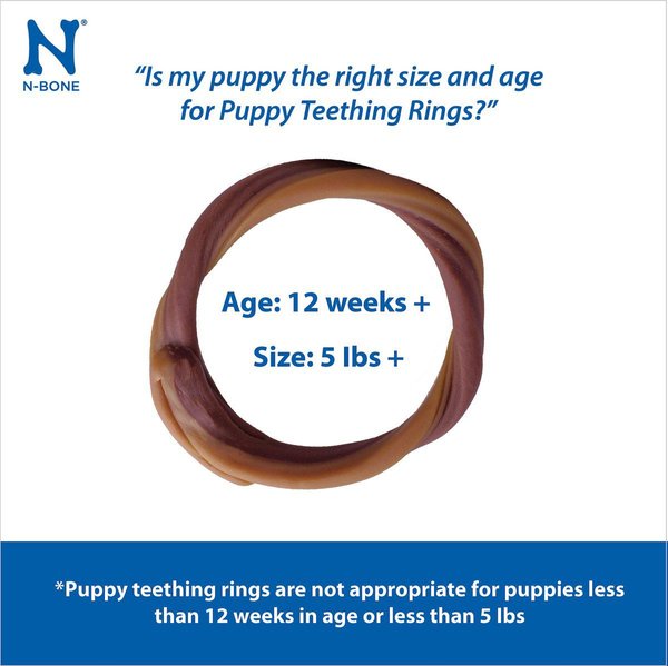 Show full view: N-Bone Puppy Teething Ring Chicken Flavor Grain-Free Dog Treats, 6 count slide 4 of 8