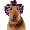 Show in main carousel: Frisco Beauty Parlor Dog & Cat Costume Accessory, X-Large/XX-Large slide 1 of 8
