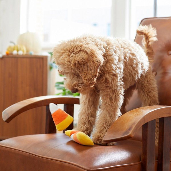 Show full view: Frisco Halloween Candy Corn Plush Squeaky Dog Toy, X-Small/Small, 3 count slide 3 of 6