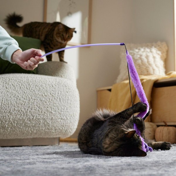 Show full view: Frisco Halloween Ghost & Fabric Teaser Wand Cat Toy with Catnip slide 3 of 5