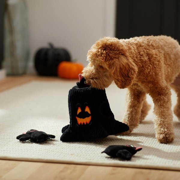 Show full view: Frisco Halloween Haunted Tree Hide & Seek Puzzle Plush Squeaky Dog Toy, Medium/Large slide 3 of 6