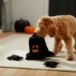 Show in main carousel: Frisco Halloween Haunted Tree Hide & Seek Puzzle Plush Squeaky Dog Toy, Medium/Large slide 3 of 6