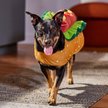 Show in main carousel: Frisco Hotdog Dog & Cat Costume, Large slide 4 of 5