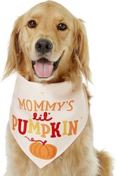 Frisco Mommy's Lil Pumpkin Dog & Cat Bandana, Medium/Large