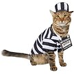 Show in main carousel: Frisco Prisoner Dog & Cat Costume, Small slide 1 of 9
