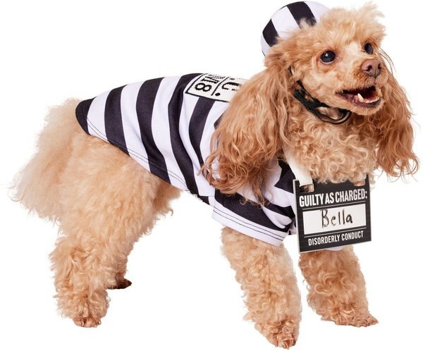 Show full view: Frisco Prisoner Dog & Cat Costume, Small slide 3 of 9