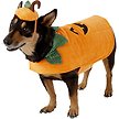 Show in main carousel: Frisco Pumpkin Dog & Cat Costume, Large slide 1 of 9