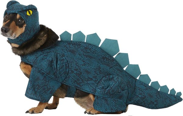 Show full view: Frisco Stegosaurus Dinosaur Dog & Cat Costume, Large slide 3 of 8